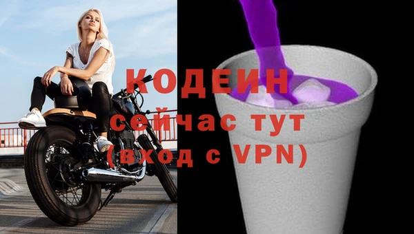 сатива Каменка
