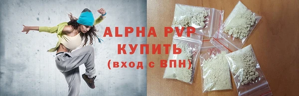 сатива Каменка