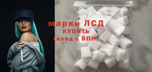сатива Каменка