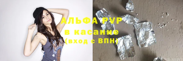 сатива Каменка