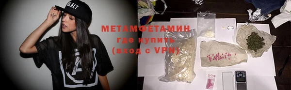 сатива Каменка