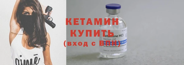 сатива Каменка