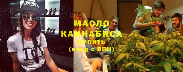 сатива Каменка