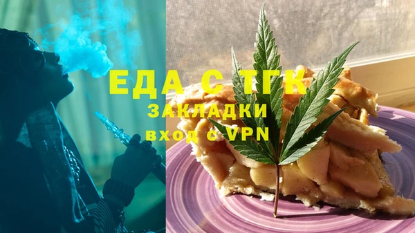 сатива Каменка
