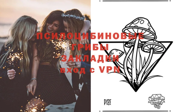 сатива Каменка
