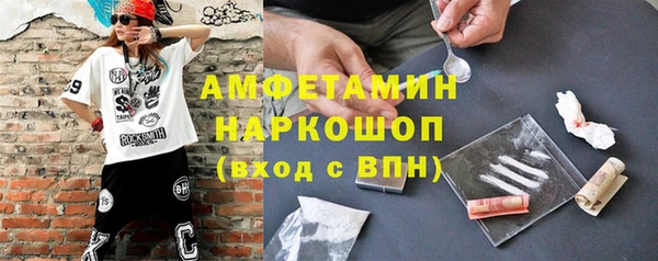 сатива Каменка