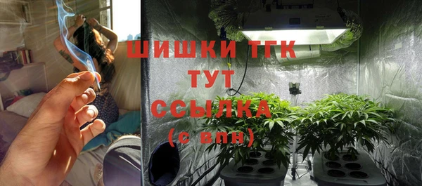 сатива Каменка