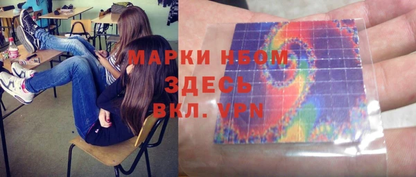 сатива Каменка