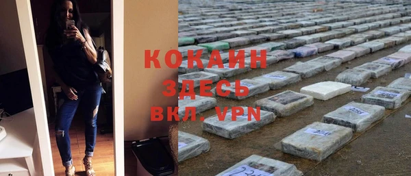 сатива Каменка