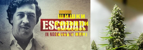 трава Каменногорск