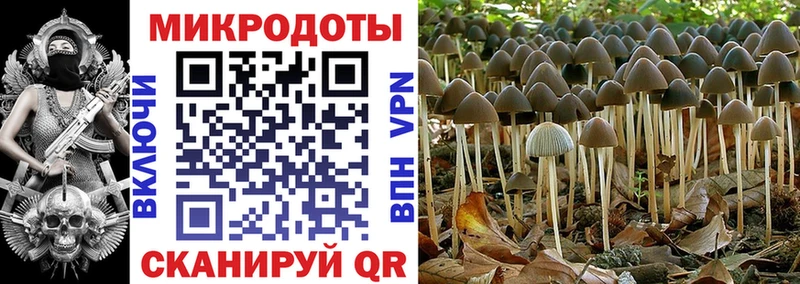 Галлюциногенные грибы ЛСД  Купить где  Черноголовка 