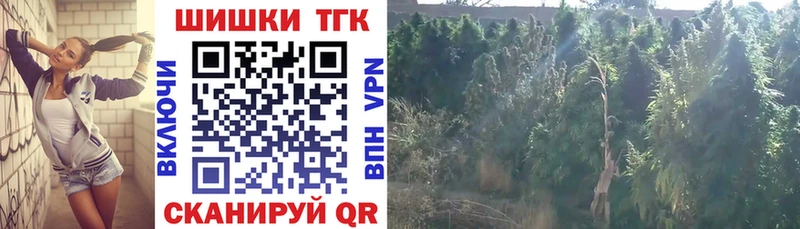 Канабис планчик  Купить закладки  Черноголовка 